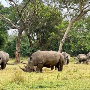Kibale National Park - attractions