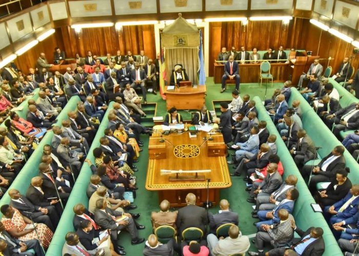 MPs have opposed a government move to buy out Umeme